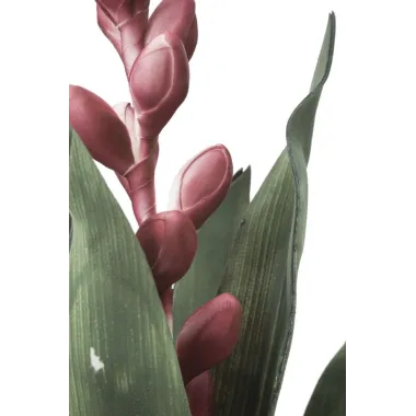 ALOE FLOWER ROSA 23X93 cm MIN 10